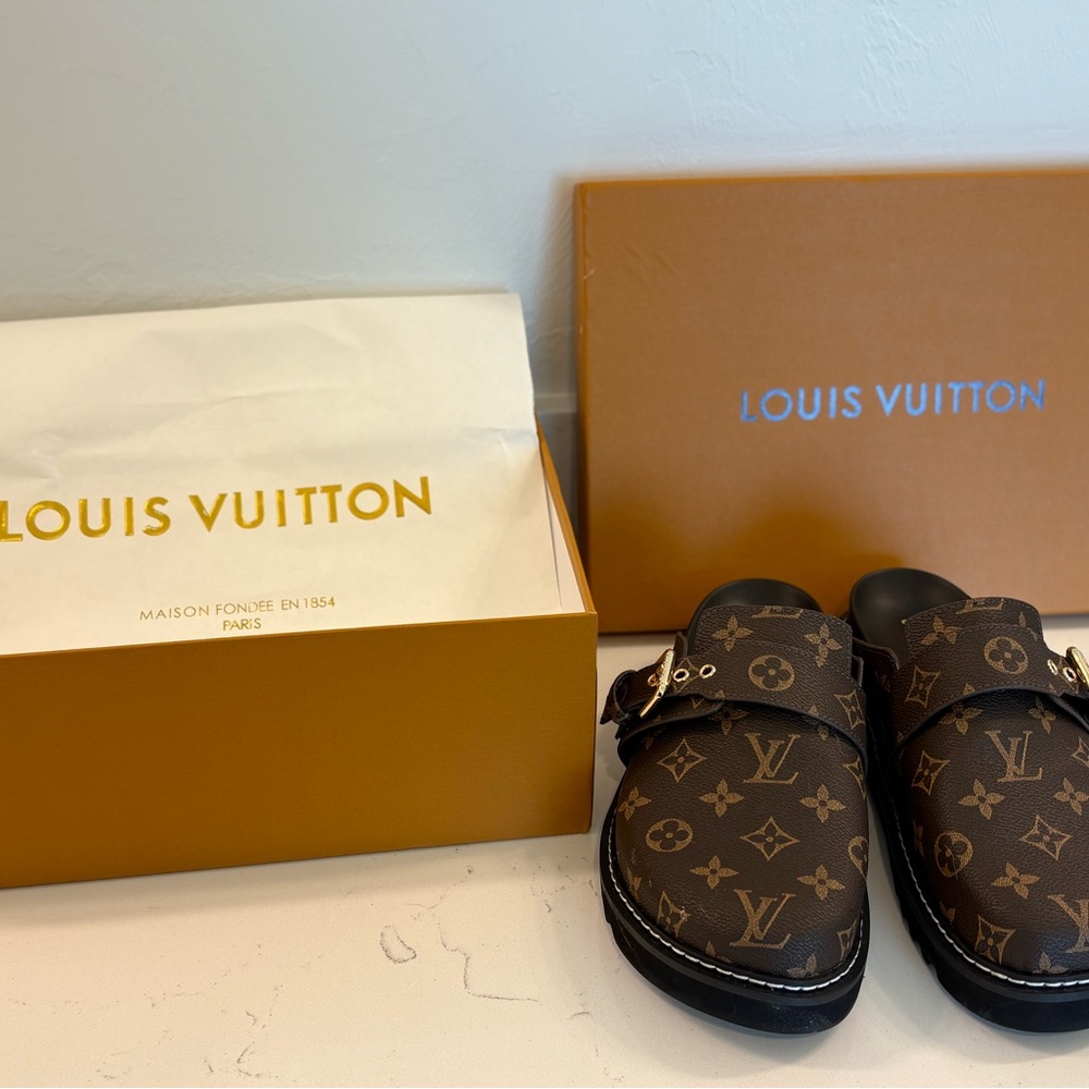 Brown LV monogram loafers with gold buckles